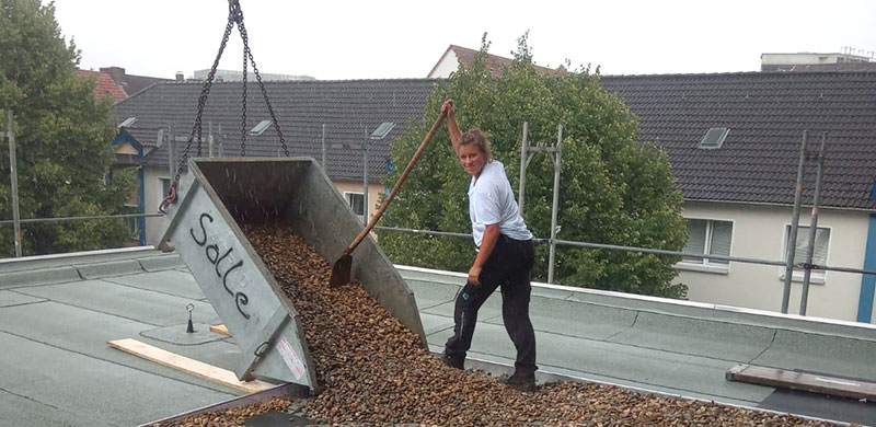 Zurück in Deutschland startete Marleen Solle im Familienbetrieb eine Ausbildung zur Dachdeckerin.