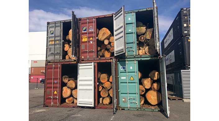 Bild von Holz in Containern