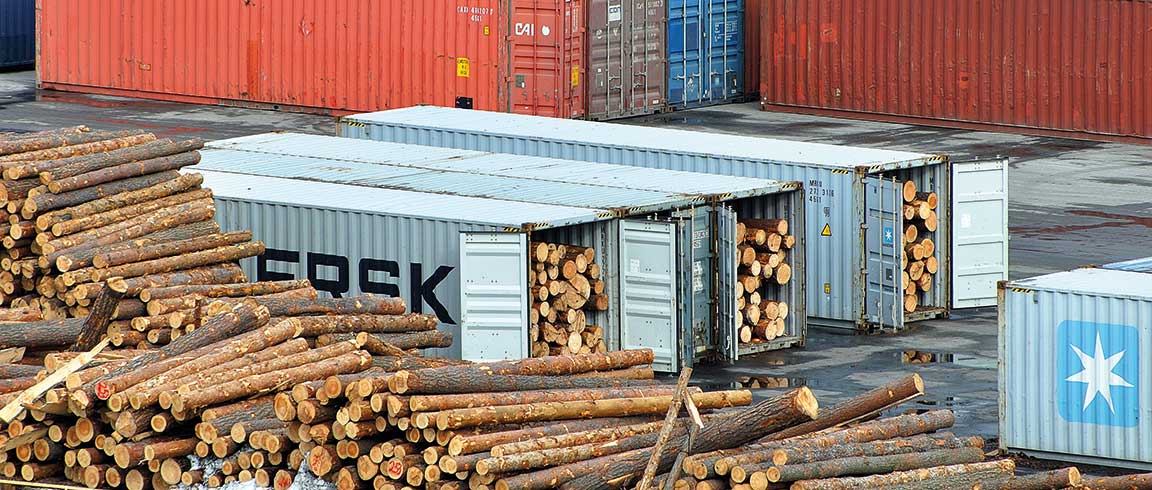 Bild von Containern mit Holz