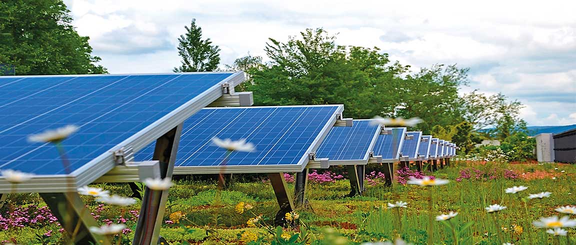 Bild von Photovoltaik auf einem Gründach