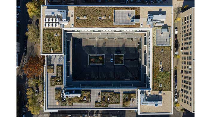 Bild vom Dachgarten der Clouth Werke für den Flachdach Contest 2022