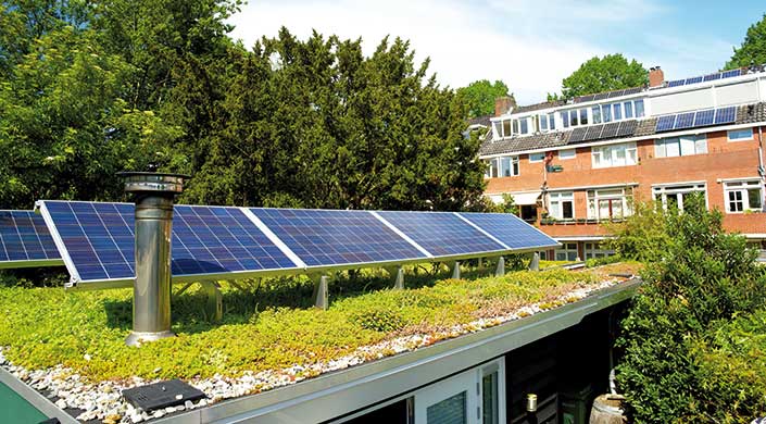 Bild von Photovoltaik-Anlage auf Gründach