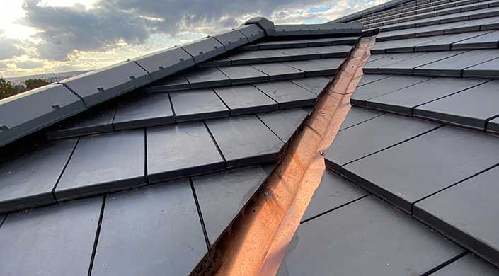Bild von Dach mit Erlus Ziegeln Level RS®