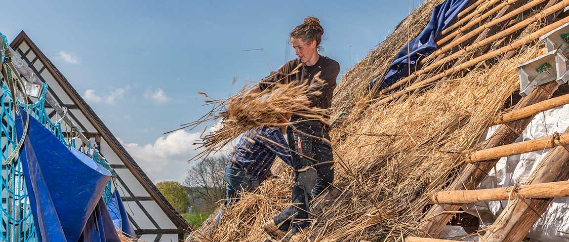 Bild von Reetdachdeckerin Moira Memmhardt bei der Arbeit