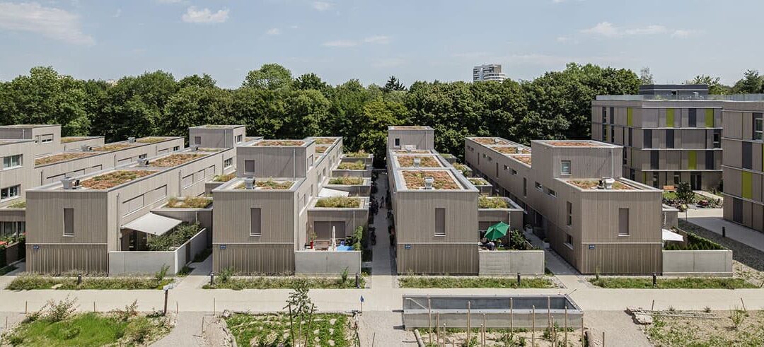 Sieger Flachdach Contest 2023: Terrassierte Dachlandschaft