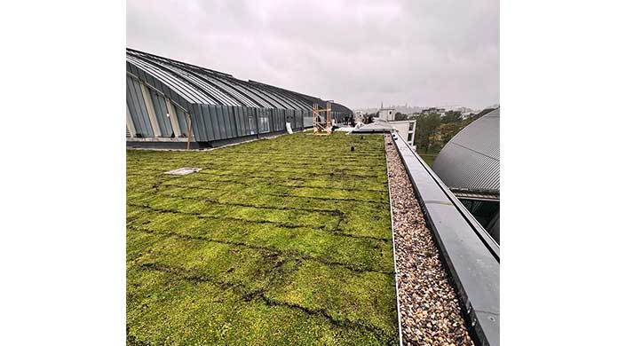 Bild von begrüntem Flachdach