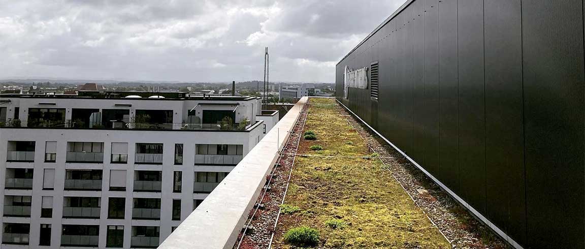 Bild von einem Flachdach von Bödeker Bedachungen