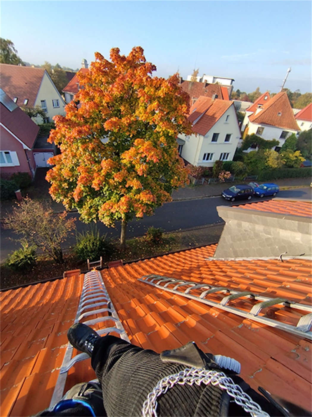 Ein Baum mit buntem Herbstlaub steht neben einer Stra&szlig;e, im Vordergrund ist ein Ziegeldach mit einer Leiter zu sehen.