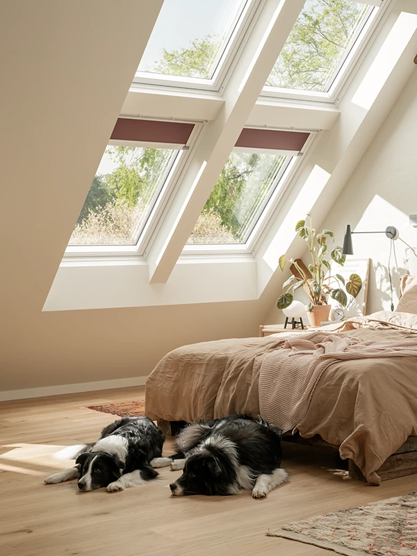 VELUX Markenprofil Minimalist Schlafzimmer mit weißer Bettwäsche, rotem Kissen und mehreren Paar Schuhen auf dem Boden vor dem Bett. Großes Fenster bringt Tageslicht hinein.